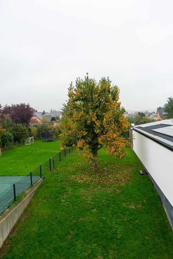Apartment Reuter Schweich